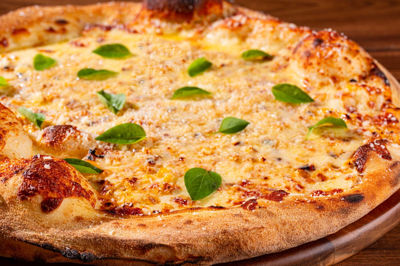 Toutz Pizza
